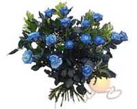 Eryaman �nternetten �i�ek sipari�i  11 adet mavi g�l �zel tanzim