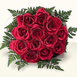  Eryaman �i�ek yolla , �i�ek g�nder , �i�ek�i   9 adet kirmizig�l tanzim - �zel g�nler i�in iyi bir se�im