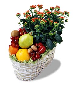  Eryaman �i�ek yolla , �i�ek g�nder , �i�ek�i   meyva sepeti ve kalanche