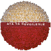 arma anitkabire - mozele i�in  Ankara Eryaman yurti�i ve yurtd��� �i�ek sipari�i 