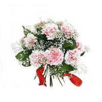 pembe renkte 9 karanfil   Eryaman �i�ek g�nderme sitemiz g�venlidir 