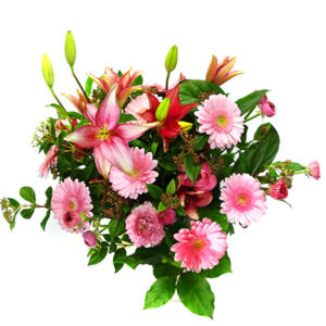 lilyum ve gerbera �i�ekleri - �i�ek se�imi -  Eryamandaki �i�ek�iler kaliteli taze ve ucuz �i�ekler 