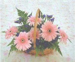 gerbera �i�eklerinde sepet   Eryaman online �i�ek�i , �i�ek sipari�i 