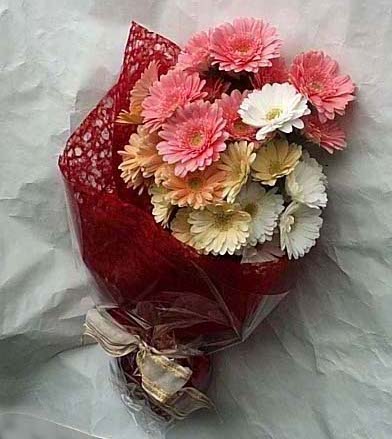 19 adet karisik gerbera buketi  Eryaman �i�ek g�nder �i�ek servisi , �i�ek�i adresleri 