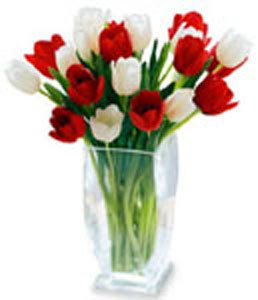  Eryaman �i�ek g�nder �i�ek servisi , �i�ek�i adresleri  cam vazo i�erisinde lale demeti ( lale bulunamadig