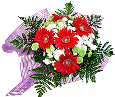 gerbera ve krizantem demeti  Ankara Eryaman �i�ek sat��� �i�ek sipari�i 