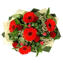  Ankara Eryaman �i�ek yolla   5 adet kirmizi g�l 5 adet gerbera demeti
