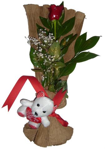  Eryamandaki �i�ek�iler kaliteli taze ve ucuz �i�ekler  1 adet kirmizi g�l ve pelus oyuncak 