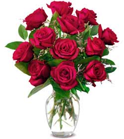  Ankara Eryaman �i�ek ma�azas� , �i�ek�i adresleri  1 d�zine kirmizi g�l sevenlere �zel vazo g�lleri