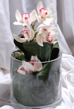  Eryaman Ankara ucuz iek gnder  Cam yada mika vazo ierisinde tek dal orkide