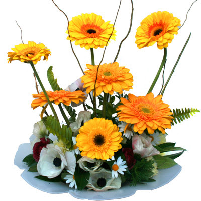 camda gerbera ve mis kokulu kir �i�ekleri  Eryaman �i�ek g�venli kaliteli h�zl� �i�ek 