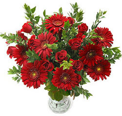 5 adet kirmizi g�l 5 adet gerbera aranjmani  Eryaman �i�ek g�nderme online �i�ek�i 