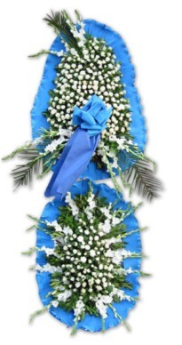  Ankara Eryaman �i�ek ma�azas� , �i�ek�i adresleri  d�g�n a�ilis �i�ekleri  ankara �i�ek�i Eryaman �i�ek�i ma�azas� 