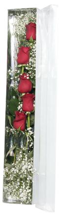  Eryaman �i�ek�i telefonlar� eryaman �i�ek   5 adet g�lden kutu g�ller