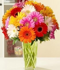  Eryaman ankaradaki internetten �i�ek sipari�i  15 adet gerbera �i�ek vazosu