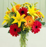 1 dal kazablanka ve 9 adet gerbera �i�ek vazosu