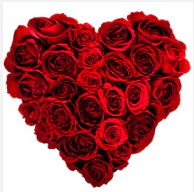  Ankara Eryaman hediye sevgilime hediye �i�ek  19 adet k�rm�z� g�lden kalp tanzimi