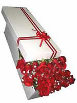  Eryaman �i�ek g�venli kaliteli h�zl� �i�ek  11 adet 1.kalite magnum g�ller