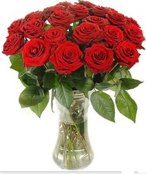  Eryaman �i�ek�i ankaraya �i�ek yolla �i�ek�iler  Vazoda 15 adet k�rm�z� g�l tanzimi