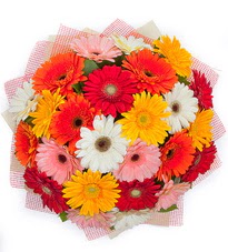 15 adet renkli gerbera buketi  �i�ek�i Eryaman cicekciler , cicek siparisi 