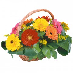 sepet i�erisinde 11 adet gerbera  Eryaman �i�ek�i  �i�ek , �i�ek�i , �i�ek�ilik 