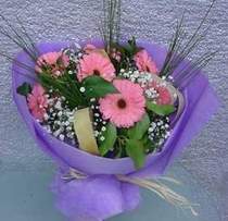  Ankara Eryaman yurti�i ve yurtd��� �i�ek sipari�i  9 adet gerbera g�zel �i�egi