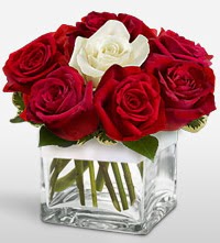 Tek a�k�ms�n �i�e�i 8 k�rm�z� 1 beyaz g�l  Ankara Eryaman hediye sevgilime hediye �i�ek 