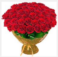 51 adet g�l 1 g�nl���ne indirimde  Eryaman �i�ek g�venli kaliteli h�zl� �i�ek  