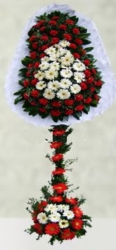  Eryaman �i�ek�i  �i�ek , �i�ek�i , �i�ek�ilik  �ift katl� d���n a��l�� �i�e�i