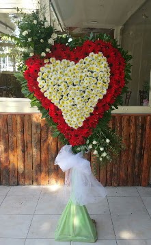 D���n Nikah pano �zel tanzimi  Eryaman �i�ek�i  �i�ek , �i�ek�i , �i�ek�ilik 