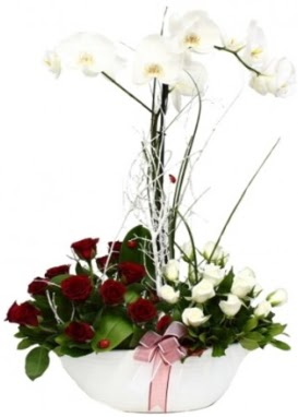 Tek dal beyaz orkide 8 beyaz 8 k�rm�z� g�l  Eryaman �i�ek g�nderme sitemiz g�venlidir 