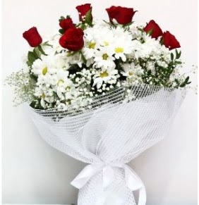 9 adet k�rm�z� g�l ve papatyalar buketi  Eryaman Ankara ucuz �i�ek g�nder 