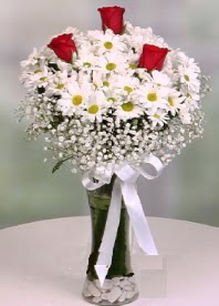 Cam i�inde papatyalar 3 adet k�rm�z� g�l  �i�ek yolla Eryaman 14 �ubat sevgililer g�n� �i�ek 