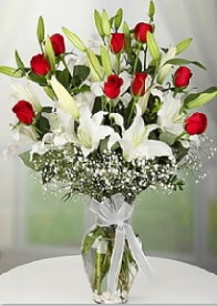 9 adet k�rm�z� g�l 3 dal kazablanka  Eryaman online �i�ek�i , �i�ek sipari�i 