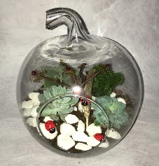 K���k terrarium elma 3 kakt�s  Eryaman �i�ek�i ankaraya �i�ek yolla �i�ek�iler 