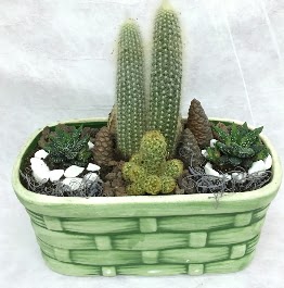 Seramik i�erisinde 5 kakt�sl� terrarium  Ankara Eryaman yurti�i ve yurtd��� �i�ek sipari�i 