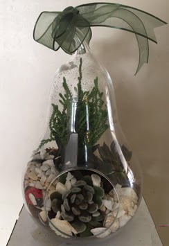 Orta boy armut terrarium 3 kakt�s  Ankara Eryaman �i�ek sipari�i vermek 