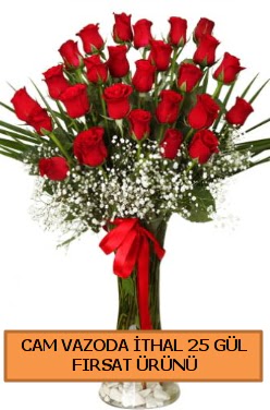  Cam vazoda ithal 1. kalite 25 g�l  Eryaman �i�ek�i  �i�ek , �i�ek�i , �i�ek�ilik 