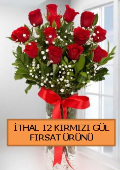  �thal k�rm�z� 12 adet kaliteli g�l  Ankara Eryaman �i�ek yolla 