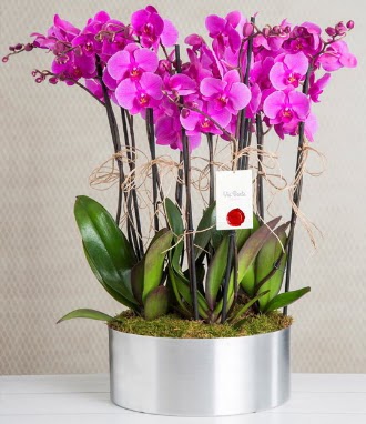 11 dall� mor orkide metal vazoda  Ankara Eryaman yurti�i ve yurtd��� �i�ek sipari�i 