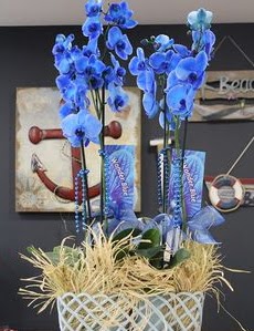 4 dall zel mavi orkide  ankara ieki Eryaman ieki maazas 