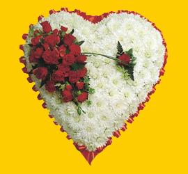  Eryaman �i�ek�i  cicek , cicekci  1.20m x 1.20m  Gerbera G�ller