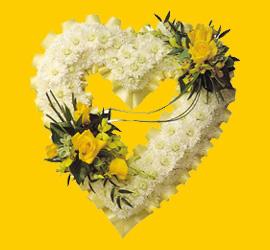  Eryaman �i�ek g�venli kaliteli h�zl� �i�ek  1.20m x 1m  Gerbera - G�ller