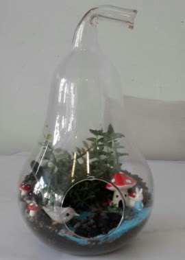 Armut orta boy cam terrarium  Eryaman �i�ek yolla , �i�ek g�nder , �i�ek�i  