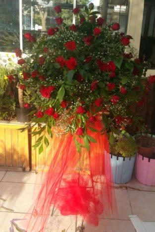 71 adet k�rm�z� g�lden ferf�rje �i�e�i  Eryaman �i�ek g�nderme sitemiz g�venlidir 
