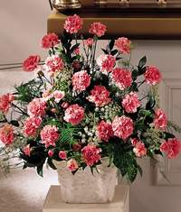 Eryaman �i�ek g�nder �i�ek servisi , �i�ek�i adresleri  Minyat�r ve pembe karanfiller