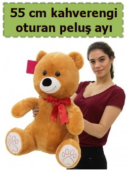 55 cm orta boy oturan kahverengi pelu� ay�  Eryaman �i�ek g�venli kaliteli h�zl� �i�ek 