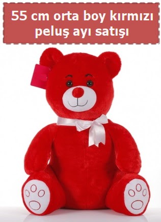 55 cm k�rm�z� orta boy oturan pelu� ay�  Eryaman online �i�ek�i , �i�ek sipari�i 