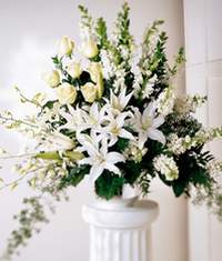  Eryaman �i�ek�i  �i�ek , �i�ek�i , �i�ek�ilik  Sebboy g�l kazablanka asalet