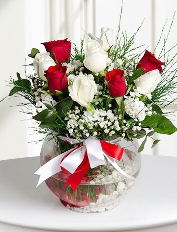 A�k K�resi  5 beyaz 5 k�rm�z� g�l fanusta  Eryaman �i�ek�i  �i�ek , �i�ek�i , �i�ek�ilik 